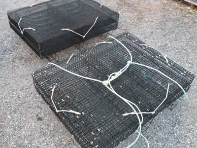 Two oyster cages tied by white ropes on the ground.